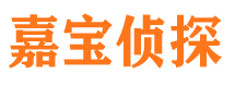 富拉尔基侦探公司